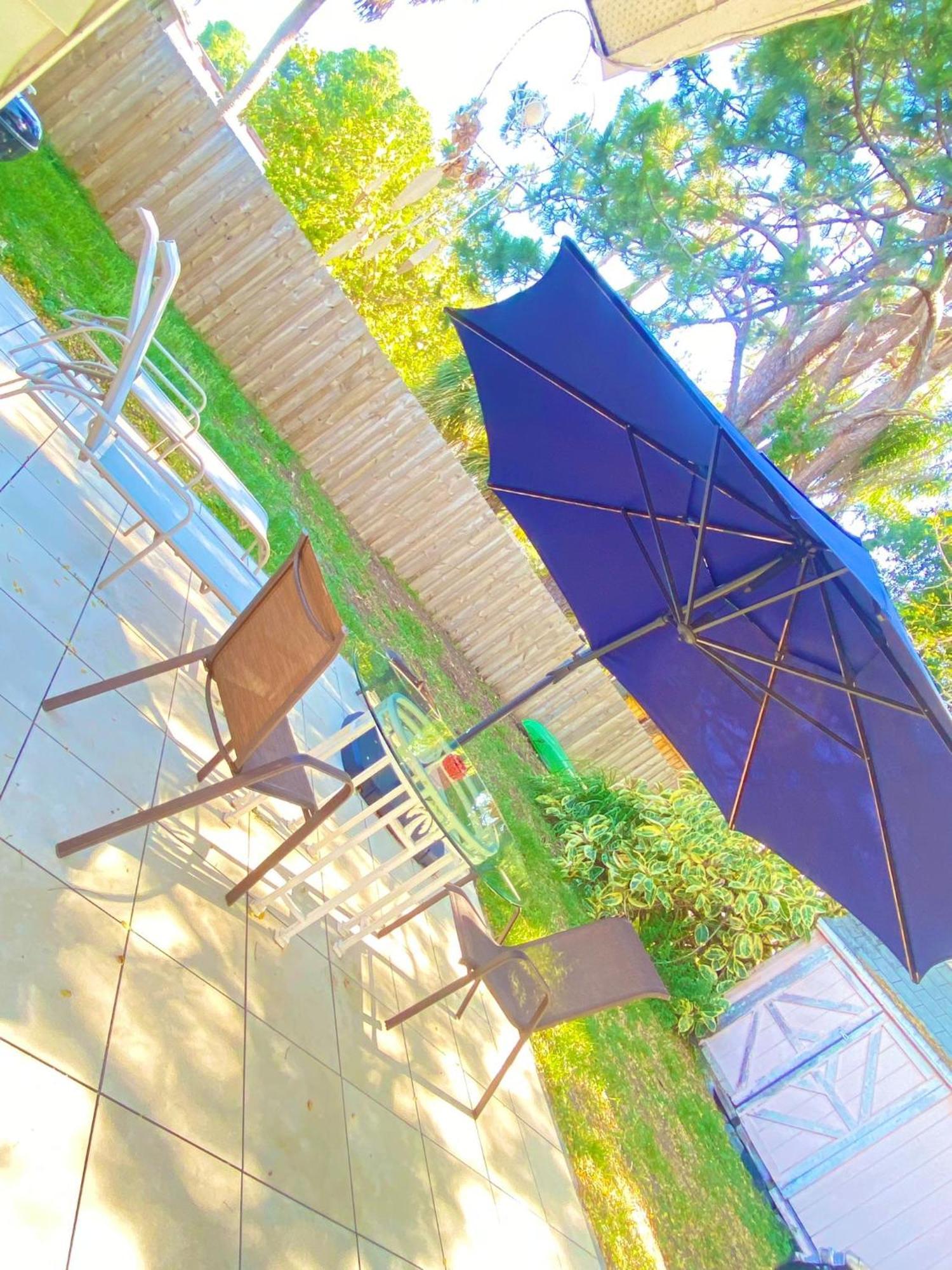 Cozy Studio Only 10 Minutes By Car Of Siesta Key ساراسوتا المظهر الخارجي الصورة